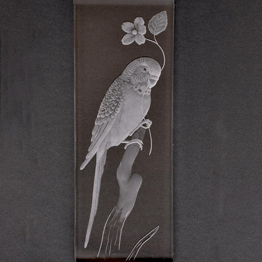 額絵『セキセイインコ」